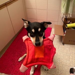 Meet your Posher, Cora